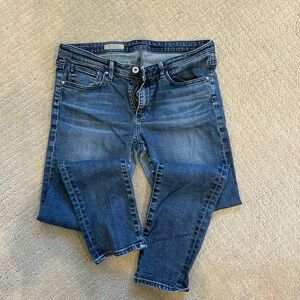 AG - Adriano Goldschmied - the Stevie Ankle size 30